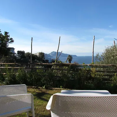 Hébergement de vacances D'amare Capri View *